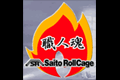 Saito Roll Cage